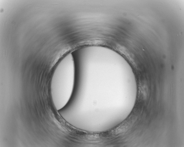 X0000088460110200705220945