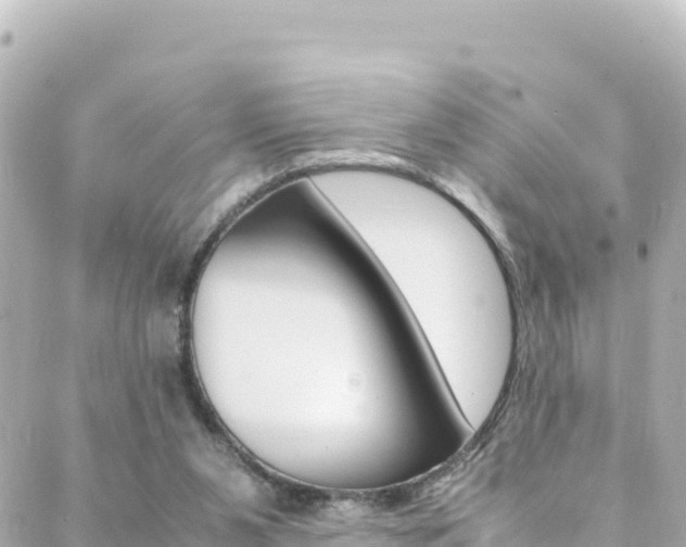 X0000088460111200705220945