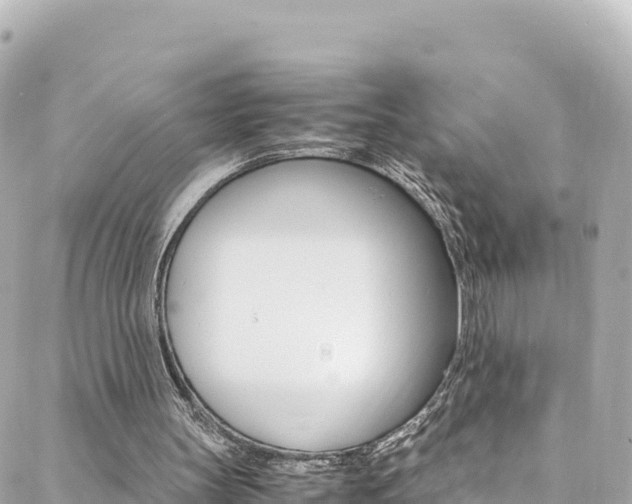 X0000088460147200705220944