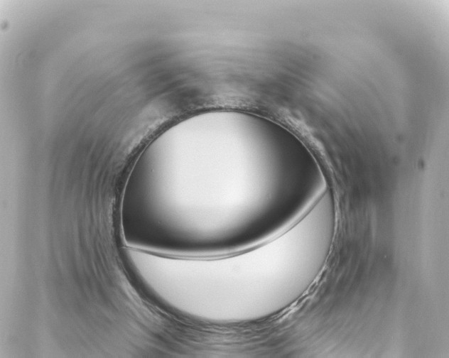 X0000088460154200705220944