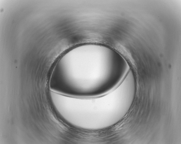 X0000088460156200705220944