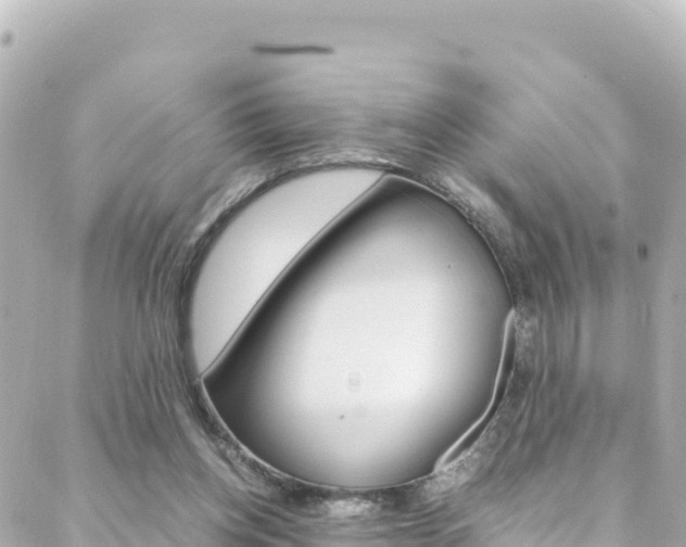 X0000088460158200705220944
