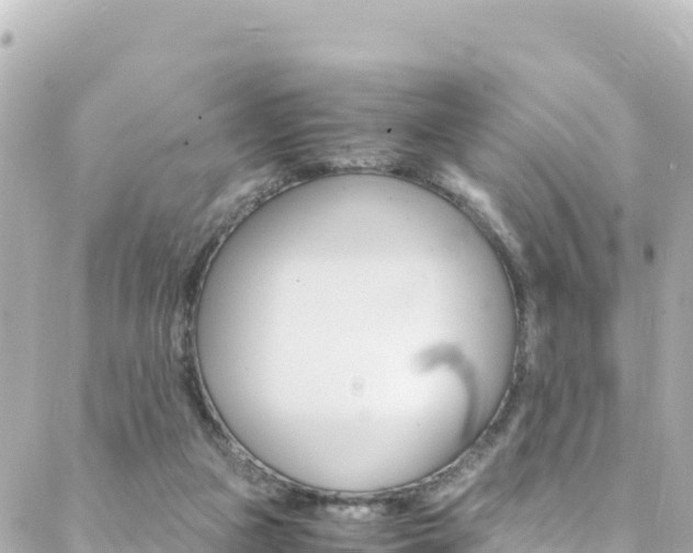 X0000088460161200705220944