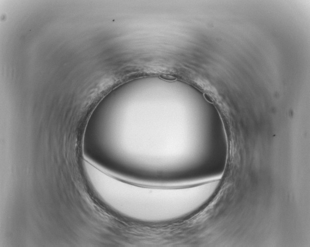 X0000088460201200705220944