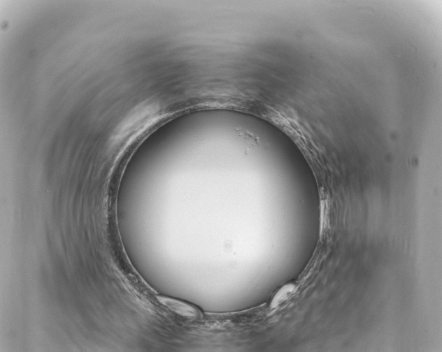 X0000088460243200705220943