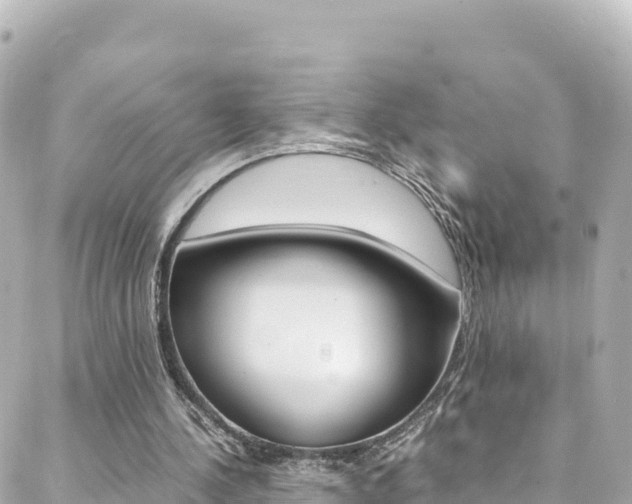 X0000088460244200705220943