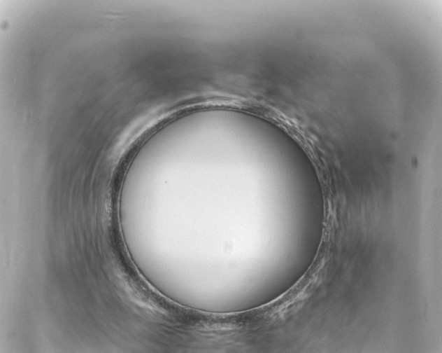 X0000088460247200705220943