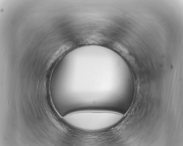 X0000088460250200705220943