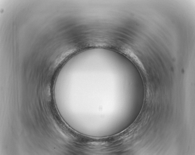X0000088460251200705220943