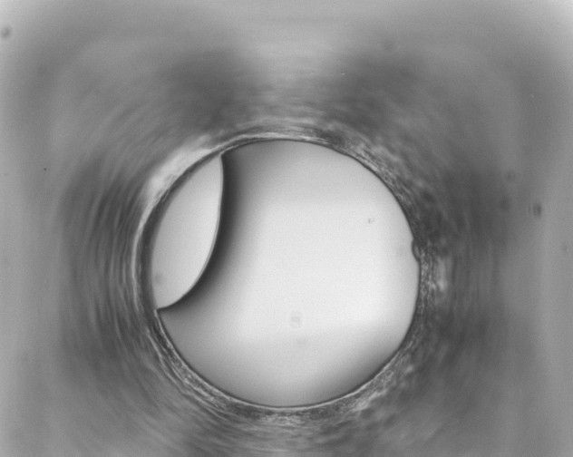 X0000088460294200705220942