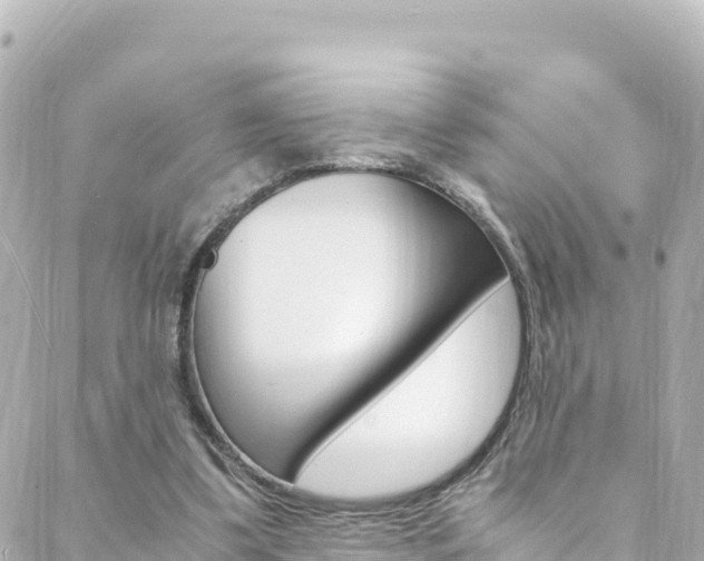 X0000088460299200705220942