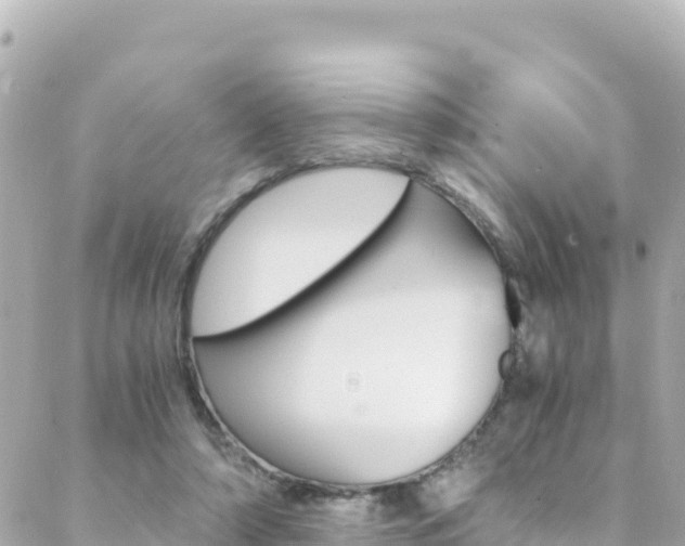 X0000088460306200705220942