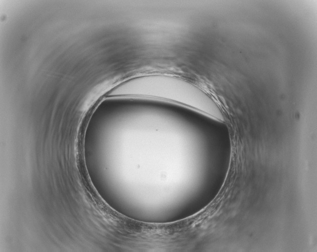 X0000088460340200705220941