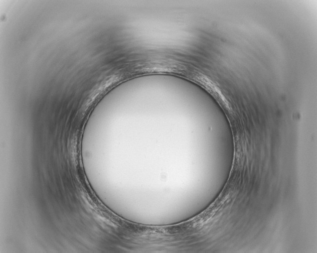 X0000088460386200705220941