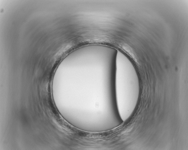 X0000088460491200705220939