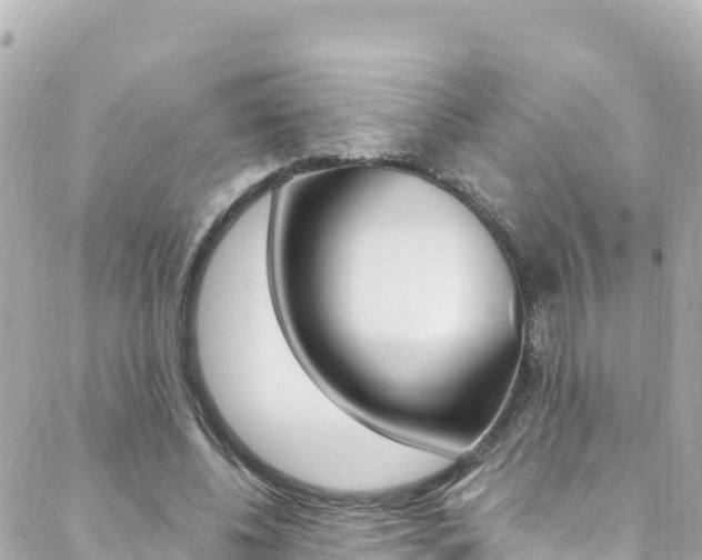 X0000088460540200705220938