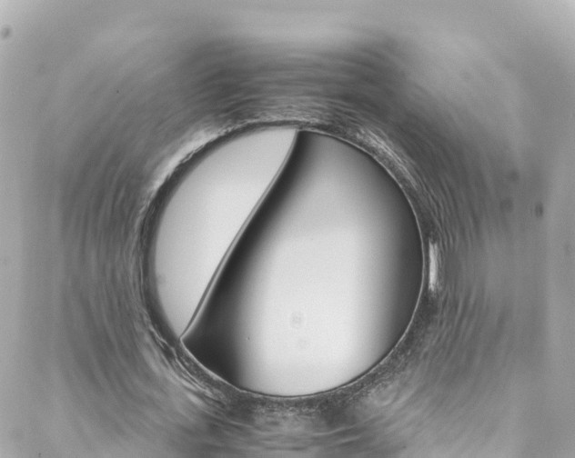 X0000088460723200705220935
