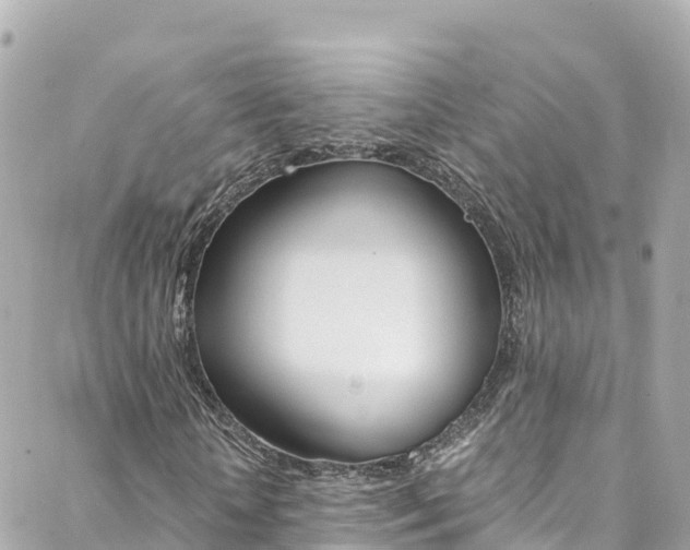 X0000088460818200705220933