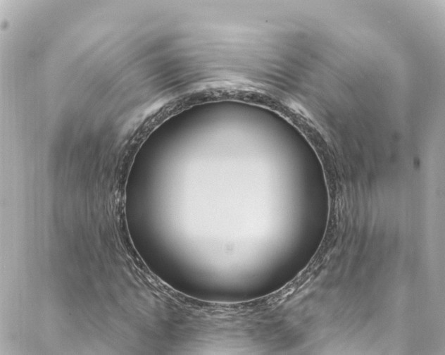 X0000088460822200705220933