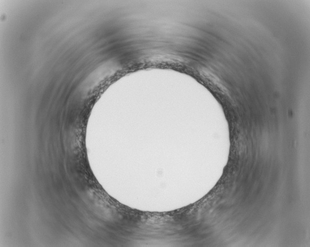 X0000088460824200705220933
