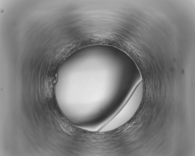 X0000088460868200705220933