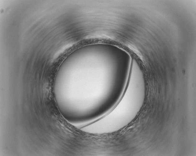 X0000088460872200705220933