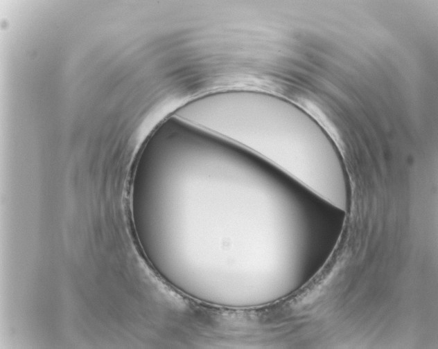 X0000088460901200705220932