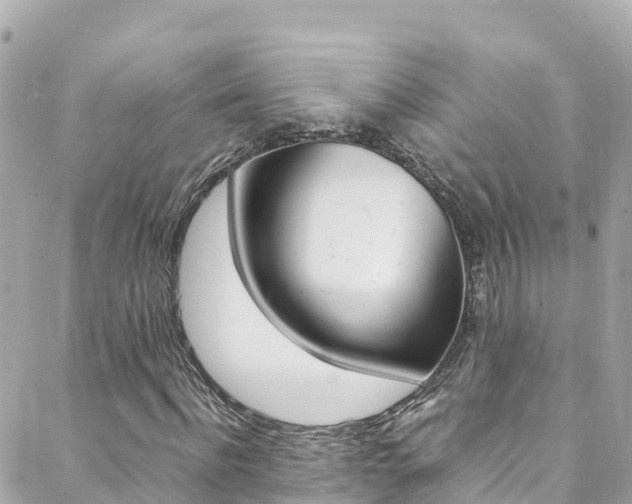 X0000088460916200705220932