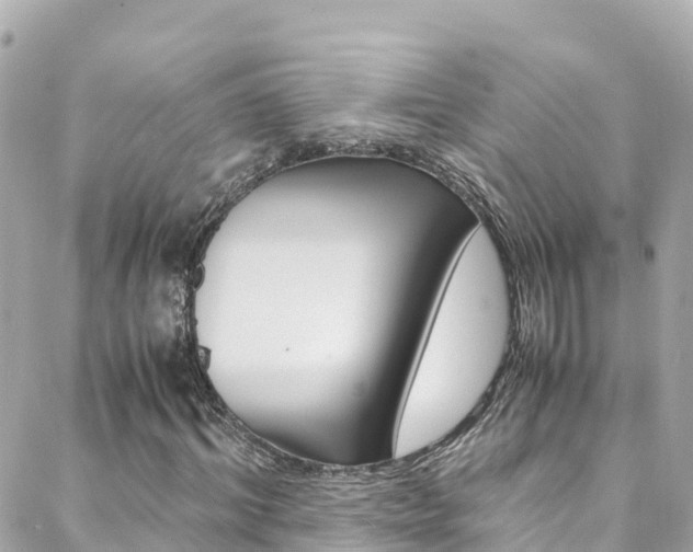 X0000088460964200705220931