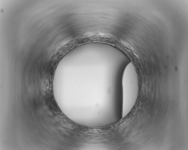 X0000088460966200705220931