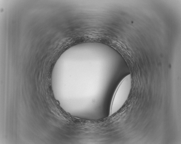 X0000088461009200705220930