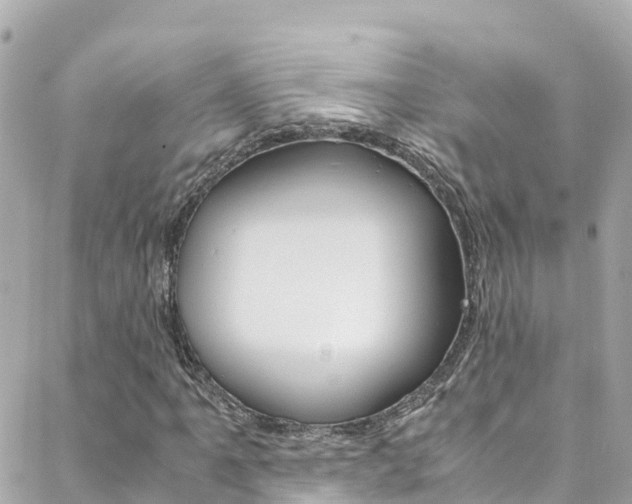 X0000088461061200705220930