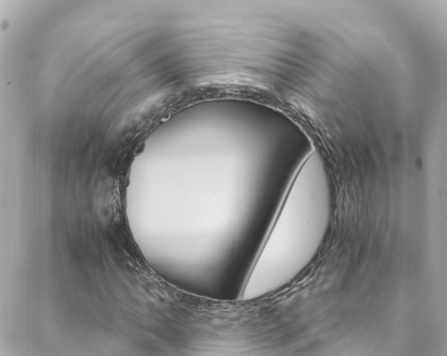 X0000088461062200705220930