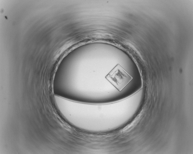 X0000088461065200705220930