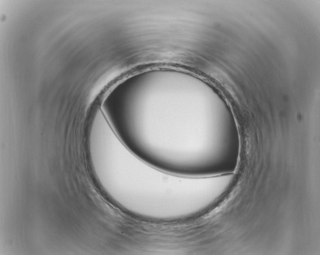 X0000088461069200705220930