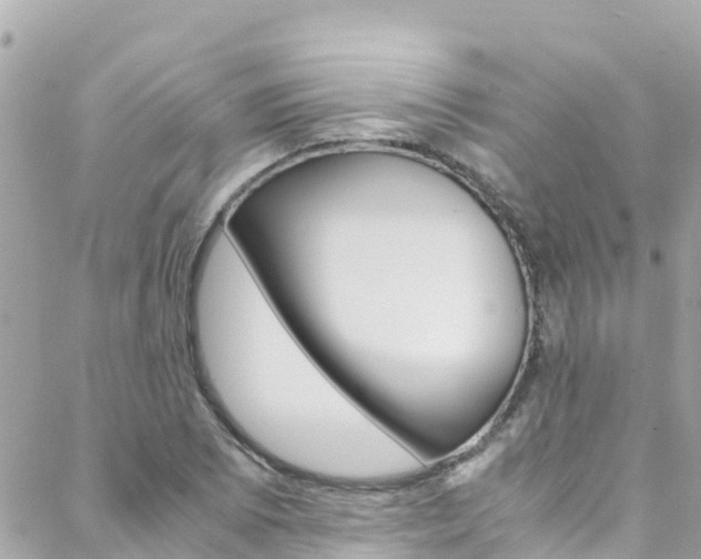X0000088461073200705220930