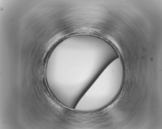 X0000088461075200705220930