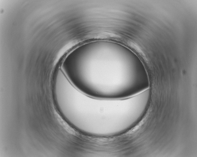 X0000088461122200705220929