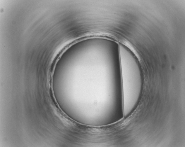 X0000088461124200705220929