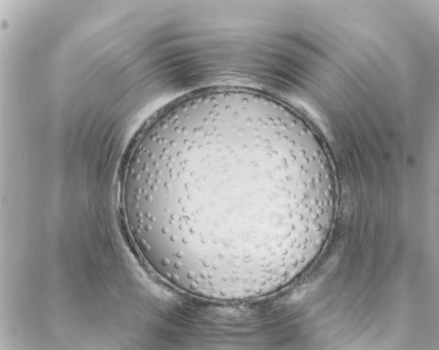 X0000088461125200705220929