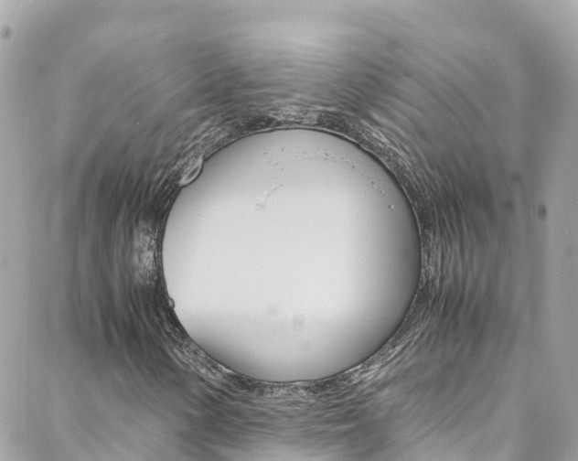 X0000088461154200705220928
