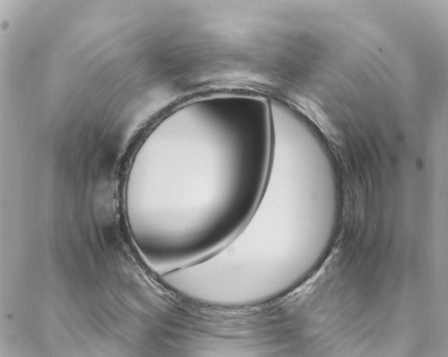 X0000088461164200705220928