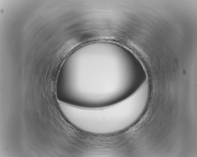 X0000088461169200705220928