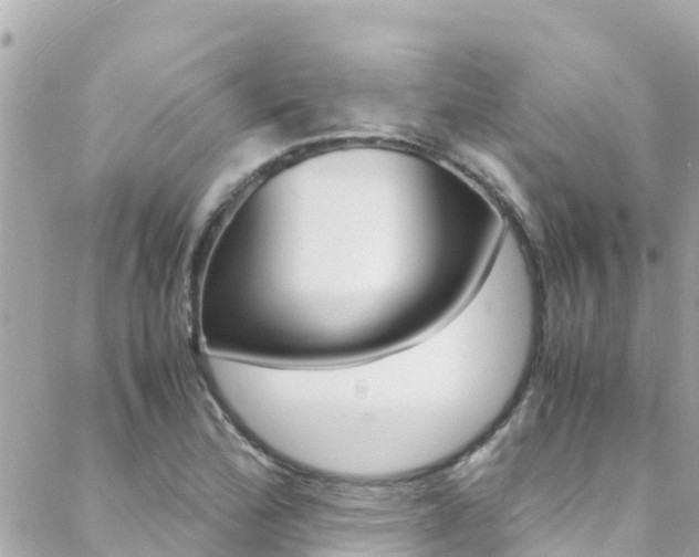 X0000088461172200705220928