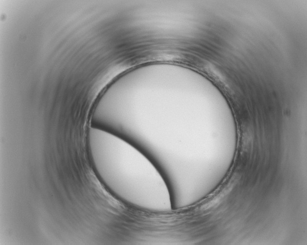 X0000088461178200705220928