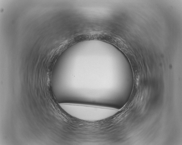 X0000088461204200705220927