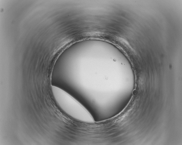 X0000088461209200705220927
