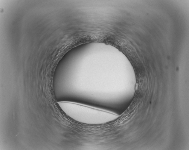 X0000088461249200705220927
