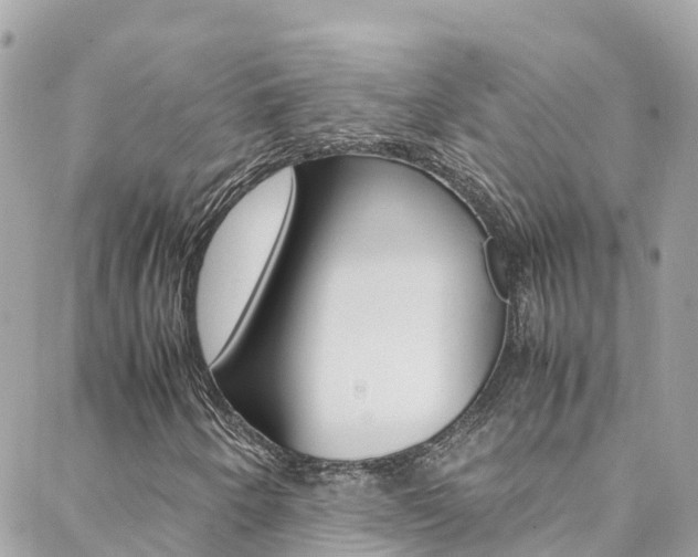 X0000088461250200705220927