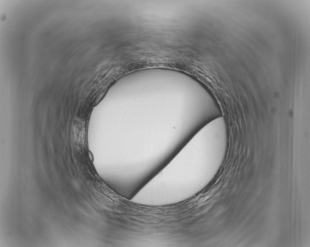 X0000088461251200705220927